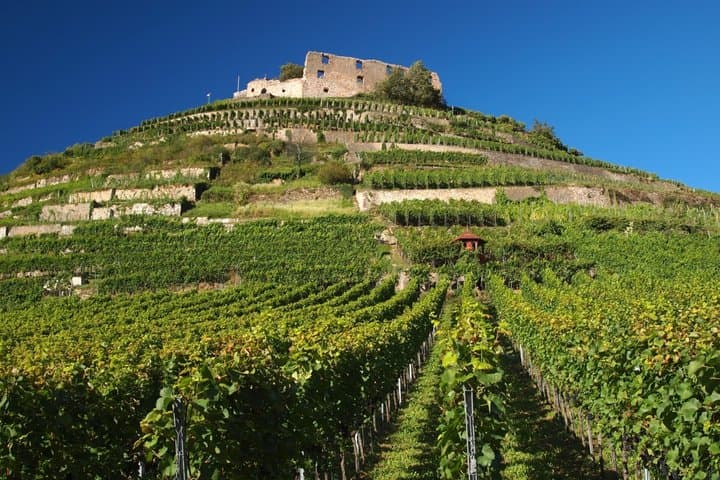 From Zurich: French Villages and Black Forest in Small Group