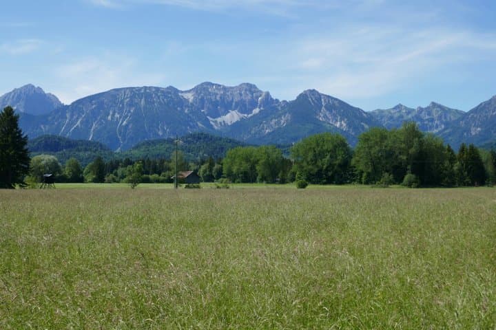 Private Transfer from Lucerne to Füssen with St. Gallen Stop