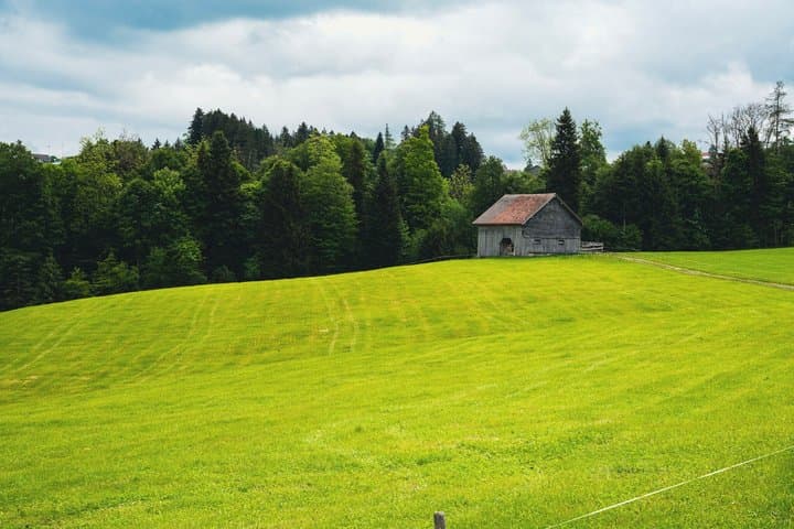 Appenzell Alps Day Trip from Zurich – Farm Life & Cheese Tasting