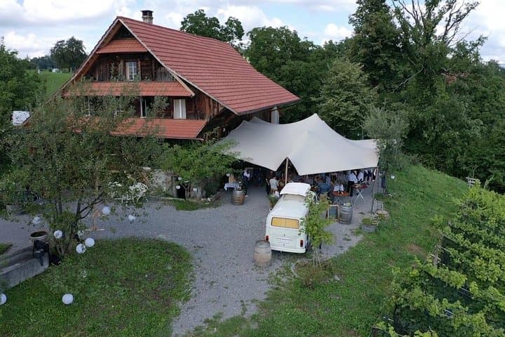 Vineyard Wine Tasting Private Tour from Luzern
