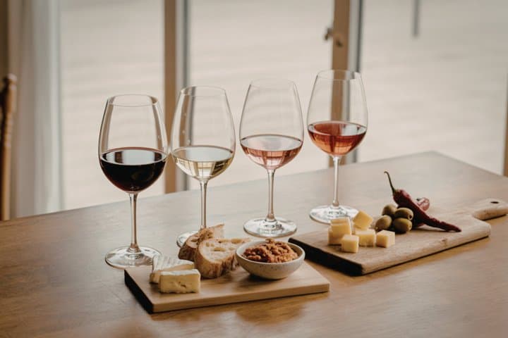 Vineyard Wine Tasting Private Tour from Luzern