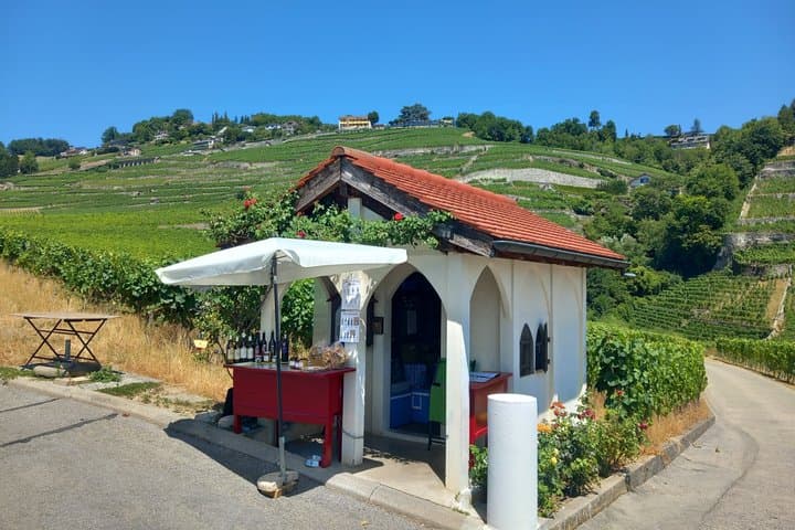 Lavaux Vineyards and Wine Heritage Private Tour