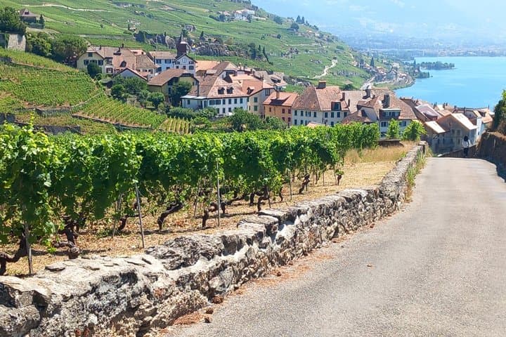 Lavaux Vineyards and Wine Heritage Private Tour