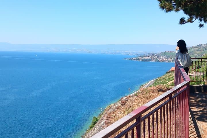 Lavaux Vineyards and Wine Heritage Private Tour