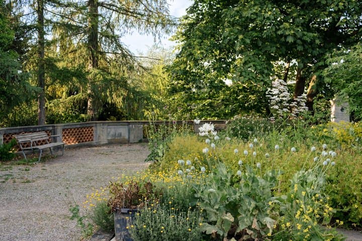 A Walk Through Zurich's Secret Green City