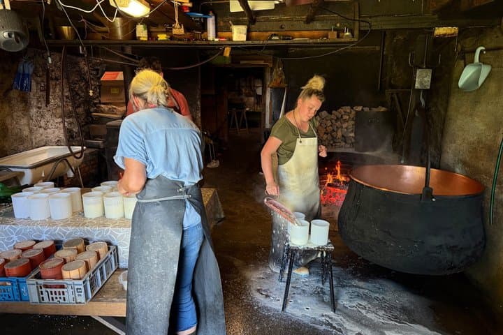Interlaken Farm Tour Swiss Breakfast and Cheese Making