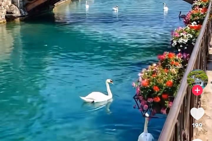From Zurich Lucerne and Interlaken Private Tour