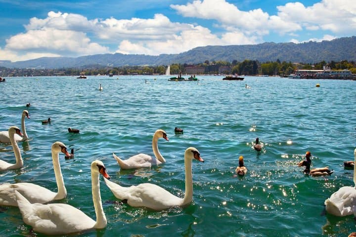 Zurich Scavenger Hunt & Highlights Self-Guided Walking Tour