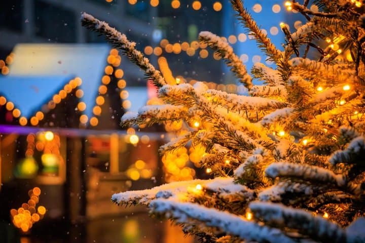 Zurich Christmas Market and Old Town Food Tour