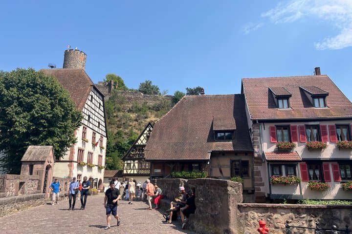 Three countries+ Blackforest and Alsace Private Car Tour for 1-6