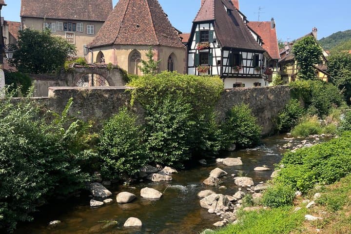 Three countries+ Blackforest and Alsace Private Car Tour for 1-6