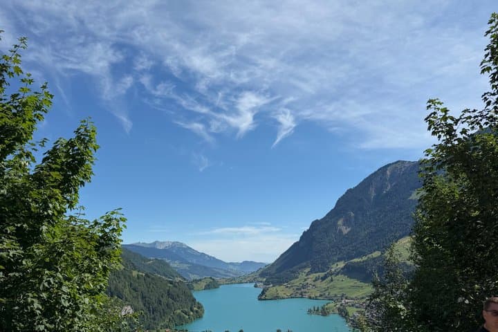 Zurich Private Tour Interlaken Grindelwald and Lauterbrunnen