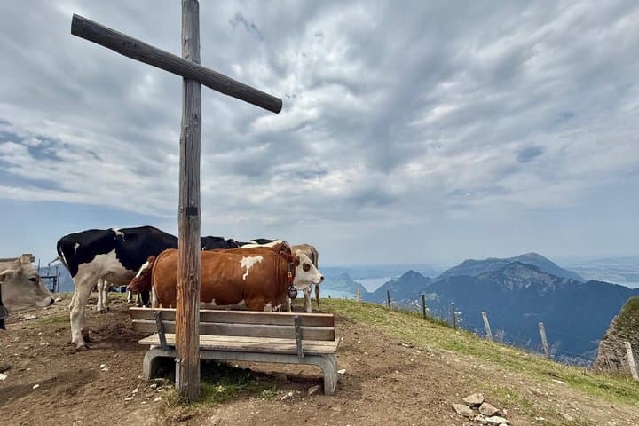 Peak to Peak Hike Private Tour in Switzerland