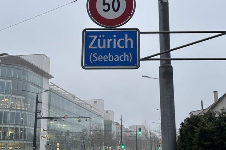 From Zurich Rhine Falls Tour with Boat Ride and Hotel Pickup
