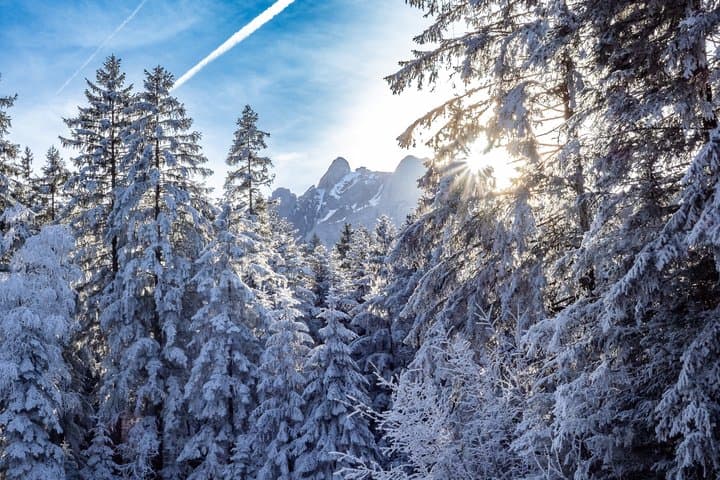 Mt. Pilatus Gondola and Aerial Cableway Ticket from Kriens