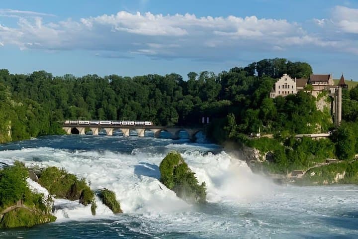 Rhine Falls Scenic Boat Cruise Ticket
