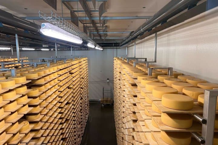 From Zurich: Liechtenstein, Castle, Cheese & Lake Cruise