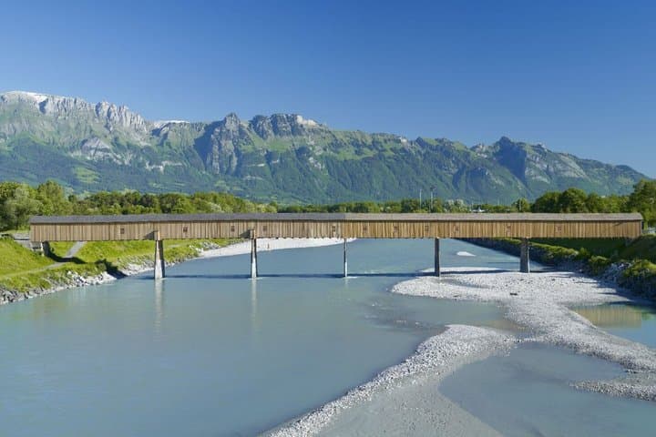 From Zurich: Liechtenstein, Castle, Cheese & Lake Cruise