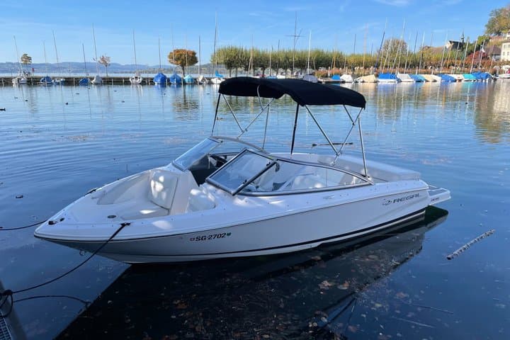 Private Boat Experience with Watersports on Lake Zurich
