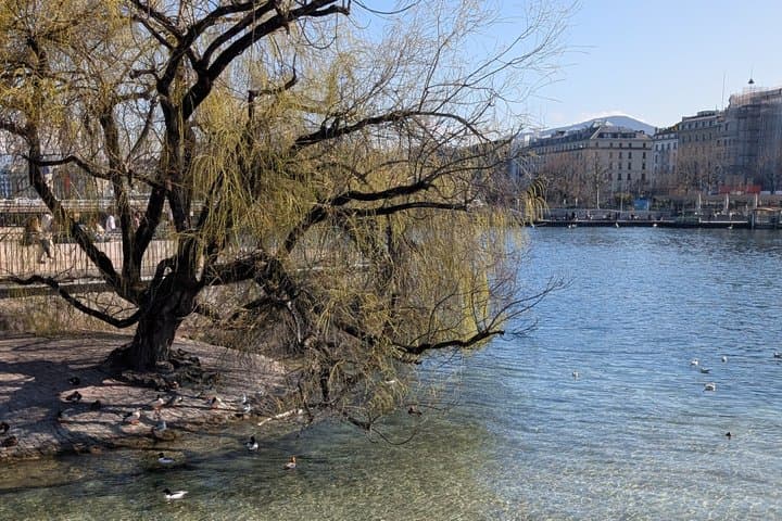 Private Geneva Running and Fitness Tour with Cultural Highlights