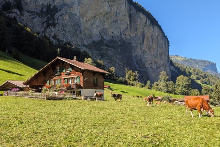 From Interlaken: Alpine Villages, Swiss Alps and Scenic Trains