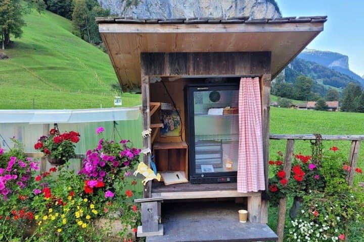 From Interlaken: Lauterbrunnen Valley Bike Tour with Swiss Picnic