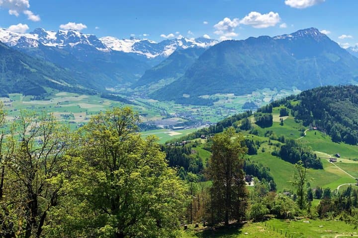From Zurich to Lucerne & Bürgenstock: A Scenic Self-Guided Escape