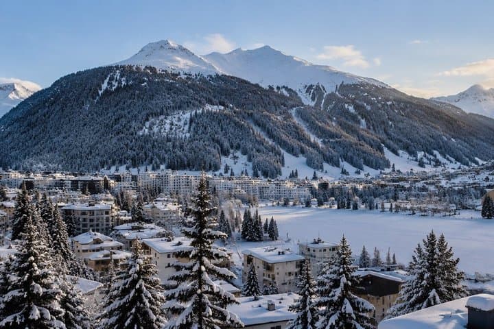 Zurich Airport to Arosa Lenzerheide Transfer with Ski Van