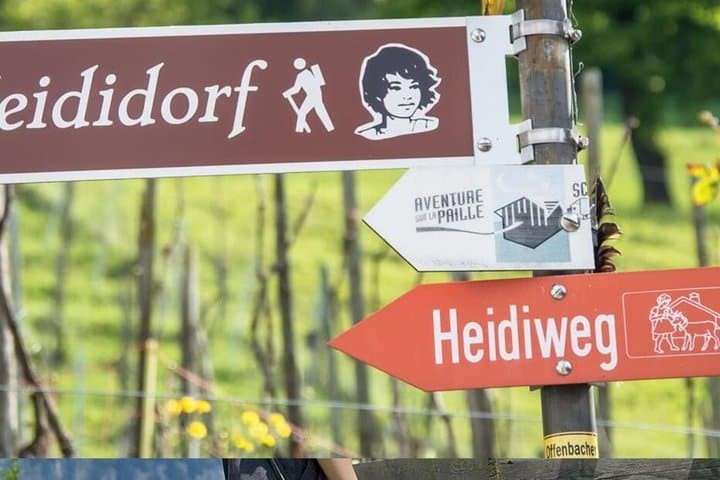 Private Tour: Heidiland, Liechtenstein & Läderach Chocolate