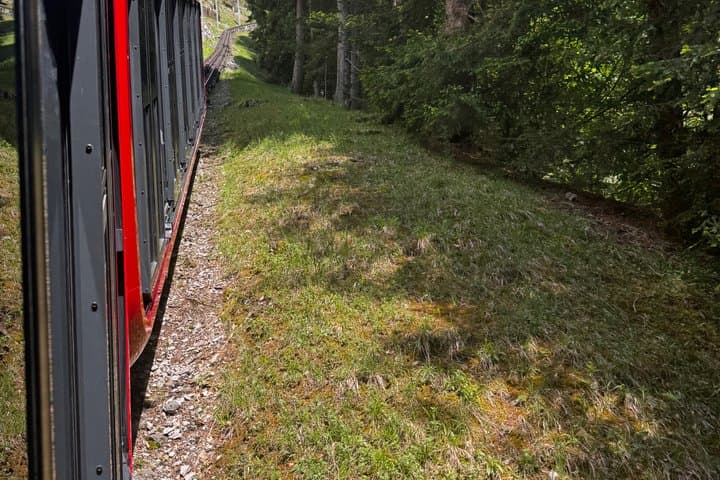 Lake Lucerne Cruise and Mount Pilatus Cogwheel Train Experience
