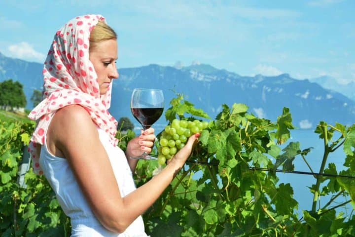 Private Lavaux Vineyards & Montreux Experience | Zurich