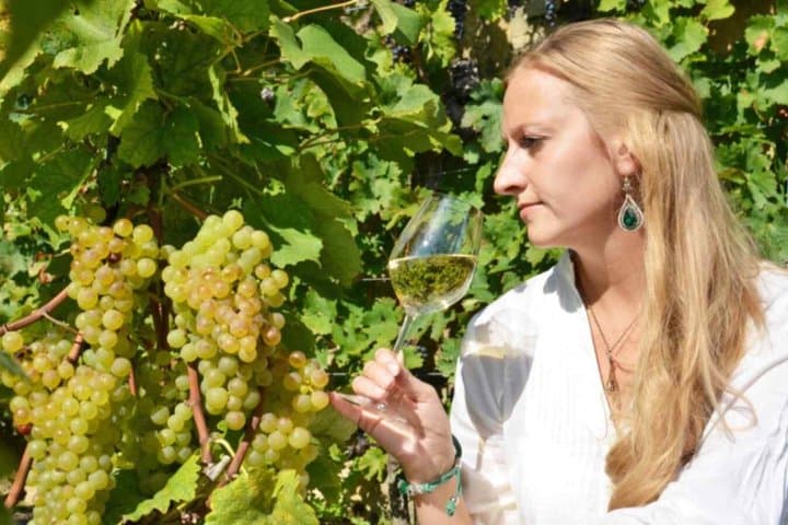 Private Lavaux Vineyards & Montreux Experience | Zurich