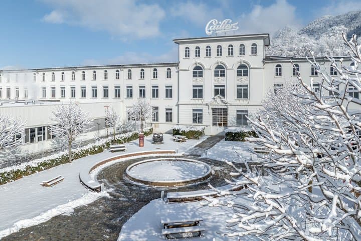 Gruyeres Day Trip with Chocolate & Cheese Factory from Lausanne