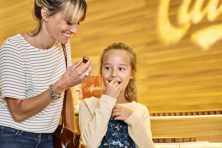 Gruyeres Day Trip with Chocolate & Cheese Factory from Lausanne