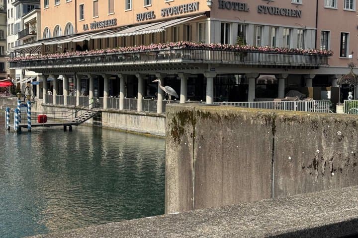 Zurich Running Tour Old Town and Lake with a Local Guide