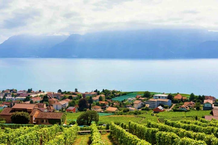 Private Lavaux Vineyards & Montreux Experience | Zurich