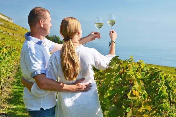 Private Lavaux Vineyards & Montreux Experience | Zurich